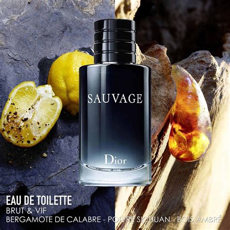 dior sauvage eau de toilette basenotes|dior sauvage fragrance notes.